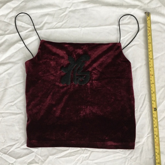 unity Tops - 90’s Unity burgundy/black velvet backless crop top